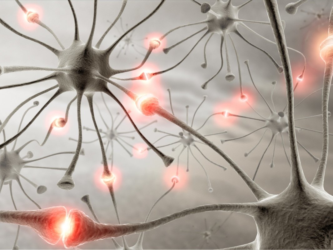 Techniques neurodynamiques
